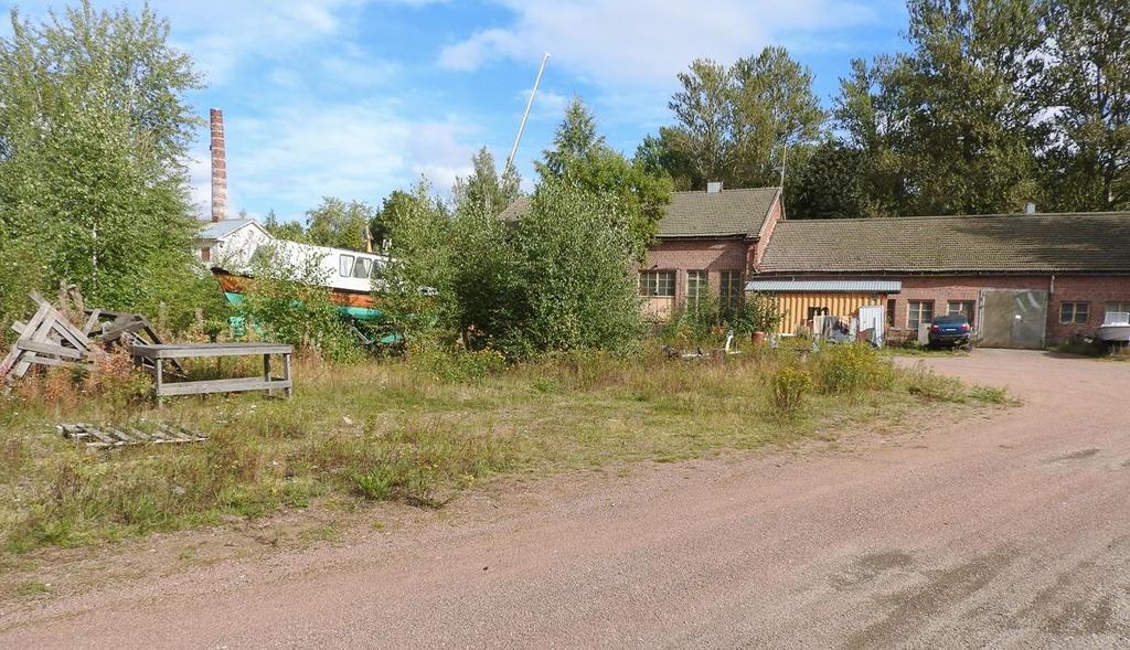 Satamakadun ja sorakentän välissä kasvaa kapeana puistokaistaleena puistolehmuksia (Tilia europaea), yksi jalava (Ulmus) ja saarni (Fraxinus excelsior) sekä metsävaahteraa (Acer platanoides) ja