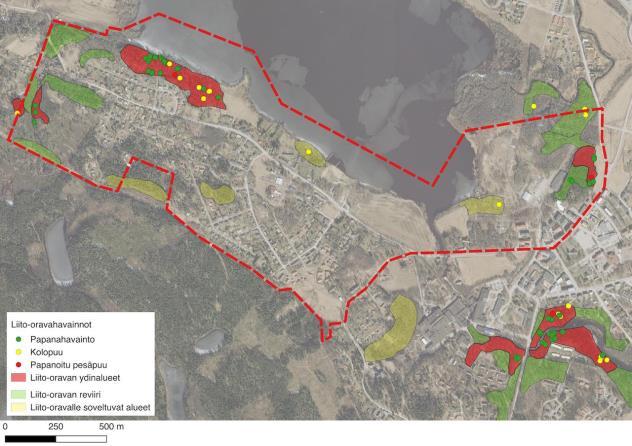 Liito-oravan kulkuyhteyksiä ja muita liito-oravalle soveltuvia metsäalueita tarkasteltiin alkukevään ja myöhemmin myös kesän luontotyyppi-inventointien yhteydessä.