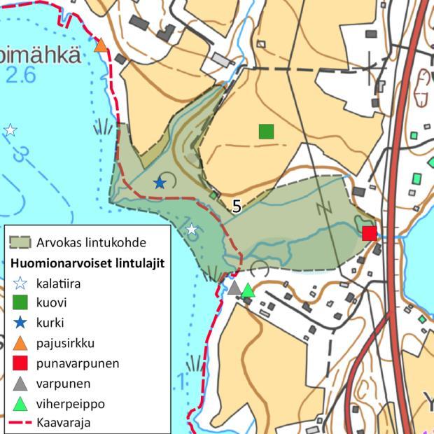 Lisäksi alueella havaittiin uhanalainen haapana, tavi ja telkkä. Myös kalatiirat saalistavat alueella. Alue sijoittuu kaava-alueen välittömään läheisyyteen. 5.