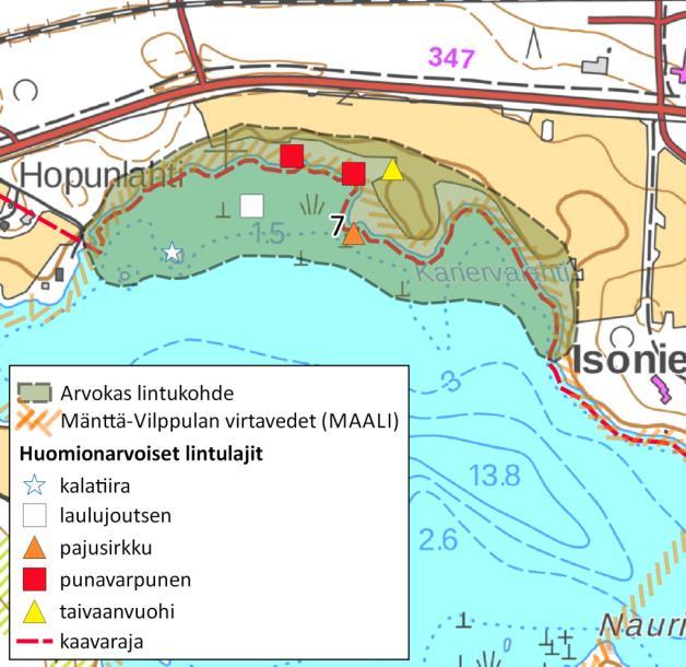 Rannoilla on myös koivuvaltaisia alueita, joissa pesivät ainakin pyrstötiainen, kirjosieppo, peippo, pajulintu, mustapääkerttu ja lehtokerttu. 7.