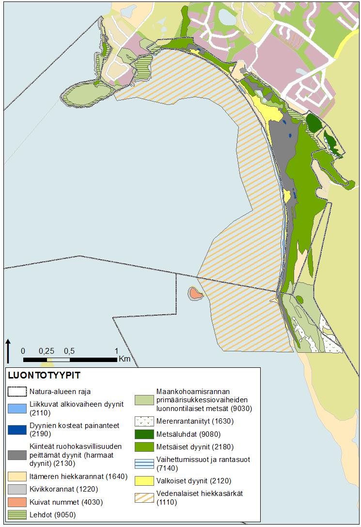 20 (46) 17.1.2018 Porin Yyterin laiturihanke Kuva 9. Natura-alueen luontotyyppien esiintyminen alueella. Valkoiset dyynit ovat dyynisukkession toinen vaihe.