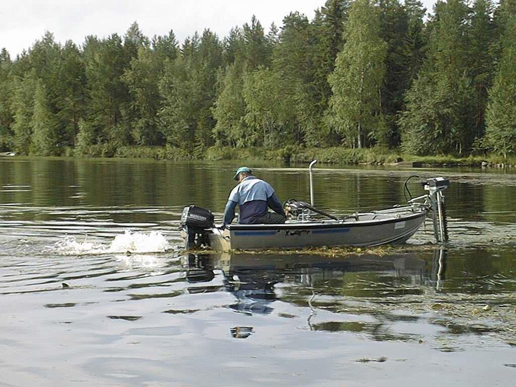 Vesikasvien poisto ja niitto Vesikasvit ovat keskeinen osa järviluontoa sekä tärkeä vesieliöstön elinympäristö.