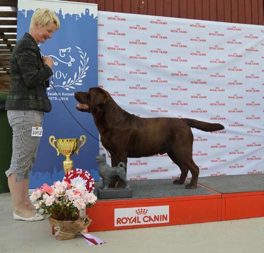 Royal Canin Show 2018 Royal Canin Show 2018 BEST IN SHOW Ennusteista huolimatta saimme nauttia aurinkoisesta viikonlopusta 19. - 20.5.