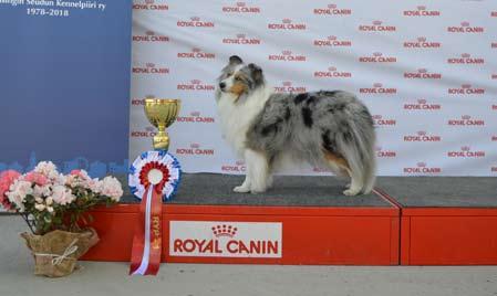Royal Canin