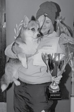 Vuoden 2017 Rallytokotulokas corgi Suonsyrjän Alfred Eetu ja Melissa Markki, Helsinki HSKP:n Vuoden 2017 rallytokokoira POHJ TVA FI KVA FI RTVA FIN TVA EE TVA SE