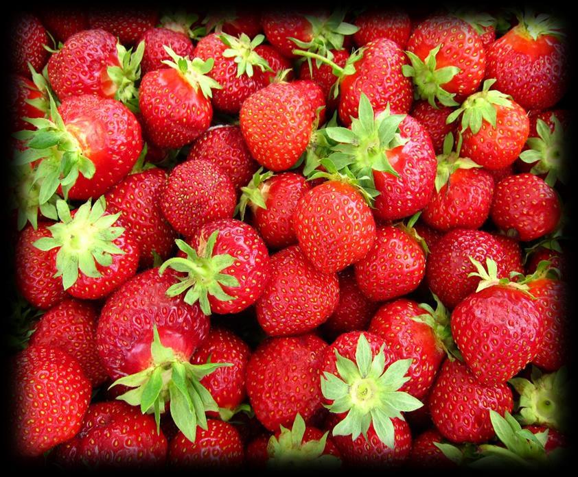 Ingredienser: Socker, jordgubbar 40%, vatten, förtjockningsmedel (E 440), surhetsreglerande medel (E 330), konserveringsmedel (E 202).
