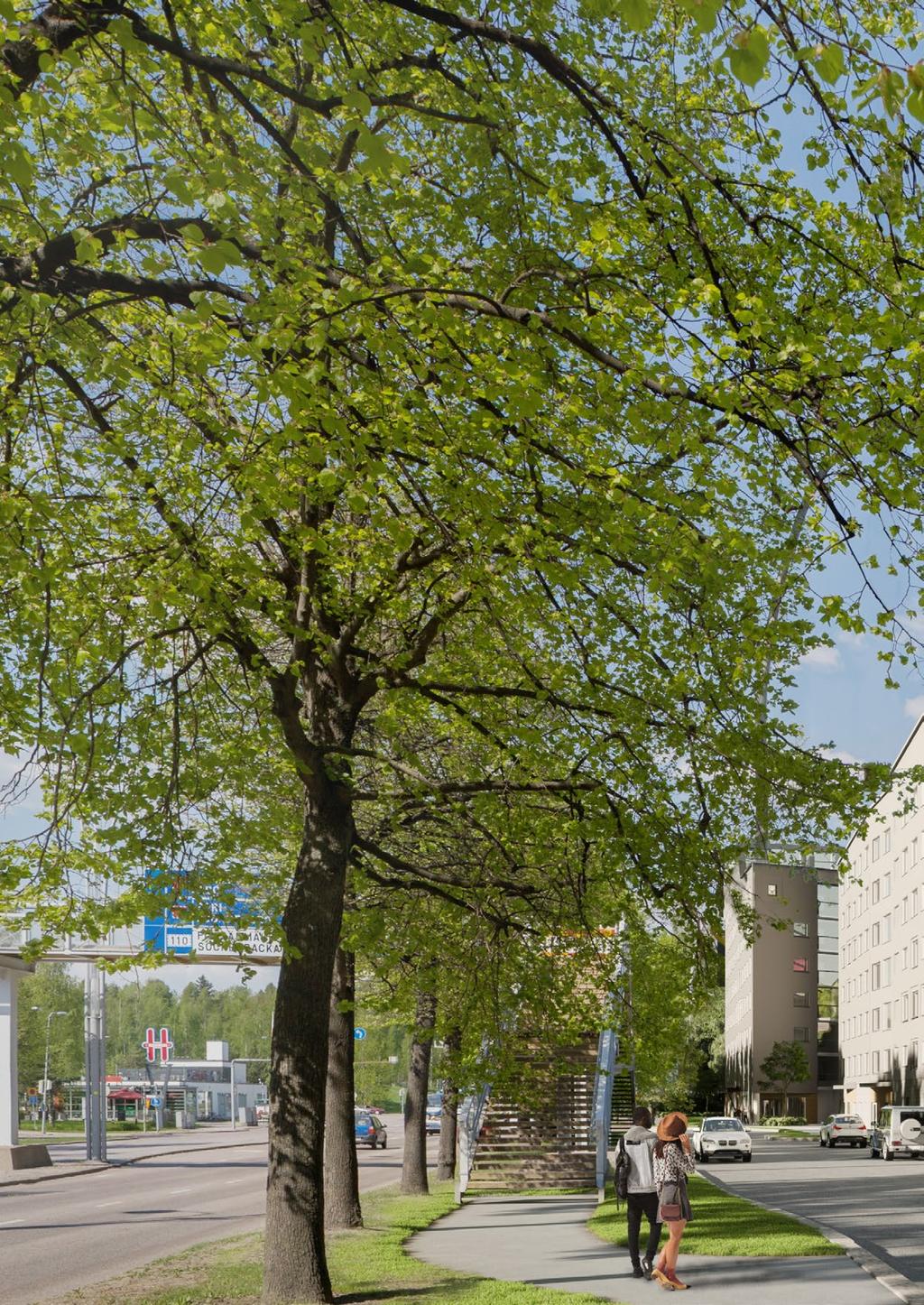kanska Kodit Asuntomyynnin maksuton puhelinpalvelu 0800 162 162