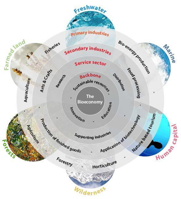 Proposed overview of the bioeconomy (Matis and the Environment Agency of Iceland in Future