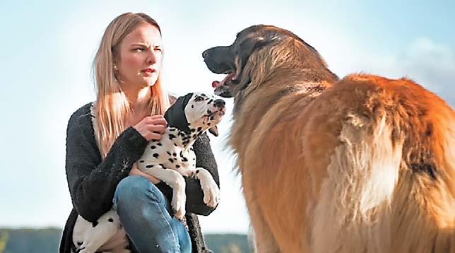30 Kalevan kirkolla ja ti 1.5. kello 11 14 Lielahden kirkolla. Katso lisää s. B 3 ja B 5 MUISTA Koiradeitit 26.5. klo 14 16 Pyynikin kirkkopuistossa Aleksanterin kirkolla.