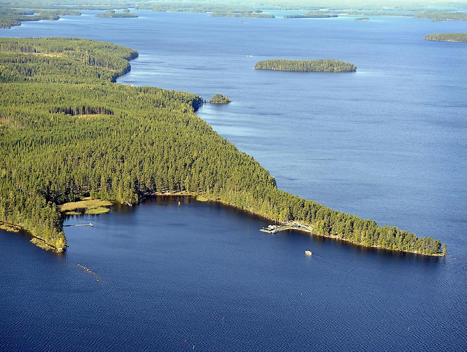 Matkailualueista voimakkaimmin ovat kehittyneen Rauhan ja Ukonniemen alueet sekä Saimaan tunnettuus.