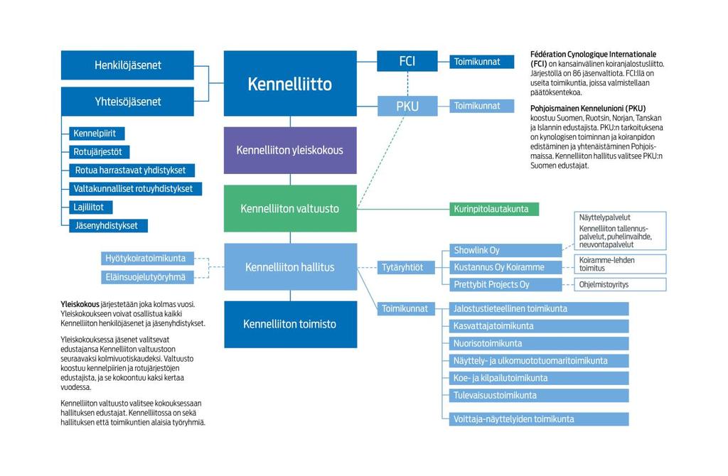 3 ORGANISAATIO JA PERUSTEHTÄVÄT VUONNA 2018 3.1 Organisaatio 3.2 Yleiskokous, valtuusto ja hallitus Yleiskokous Kennelliiton korkein päättävä elin on yleiskokous, joka kokoontuu kolmen vuoden välein.