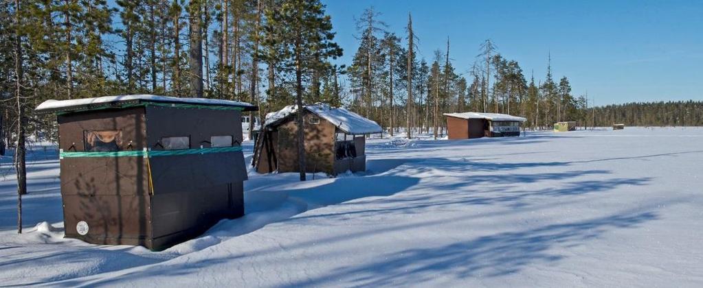 eläintenkatseluasiakasta kohden oli keskimäärin 278 euroa, mikä on reilusti suurempi tulos kuin tässä tutkimuksessa saatu.