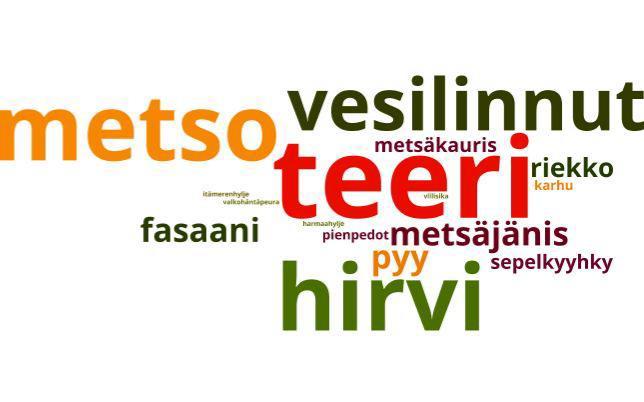 Kuva 24. Keskeisimmät riistalajit liikevaihdon kannalta. Mitä isommalla riistaeläin on mainittu, sen suurempi on sen suhteellinen merkitys. Kuva: Wordle: www.wordle.net.