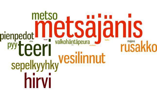 Kuva 31. Metsästysseurojen tärkeimmät riistalajit metsästysmatkailuun liittyen. Mitä suuremmalla kyseinen riistalaji on mainittu, sitä suurempi suhteellinen merkitys sillä on. Kuva: Wordle: www.