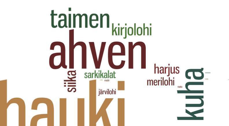 Sellaisia yrityksiä, jotka toimivat sekä sisävesillä että merialueilla ei juurikaan ollut.