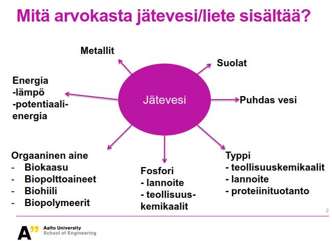 LIETTEEN ARVO MIKÄ LIETTEESSÄ ARVOKASTA Lähde: Anna Mikola,