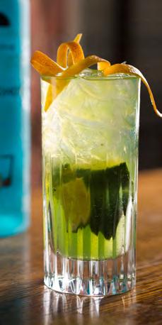 KAALO 4 cl Laplandia Mint Shot 3 limelohkoa Fentimans Mandarin & Seville TUOTEKUVAUS Vaaleansininen, makea,