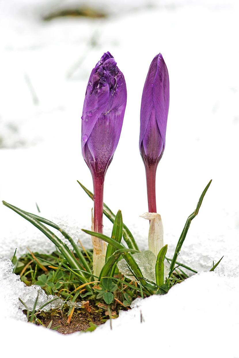 KIITOS! Ja hyvä kevättä kaikille! minna-rosa.