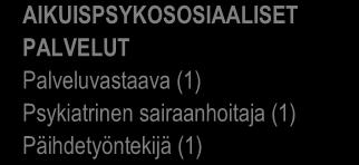 Perusturvalautakunta Peruspalvelujohtaja (1) Sosiaalipalvelujohtaja (1) AIKUISPSYKOSOSIAALISET PALVELUT Palveluvastaava