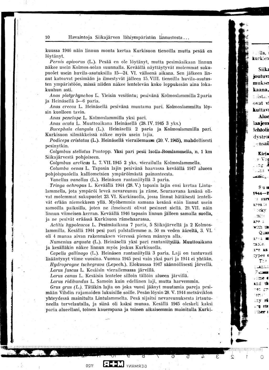 10 Havaintoja Siikajärven lähiyympäristöin linnustosta.... kuussa 1946 näin linnun monta kertaa Kurkisuon tienoilla mutta pesää en löytänyt. Pernis apivorus (L.).