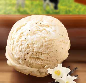 Vaniljan makuista jäätelöä ja 24% eksoottista hedelmäsorbettia 64095 SOLERO TROPICAL 8