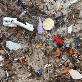 marine and coastal environment.