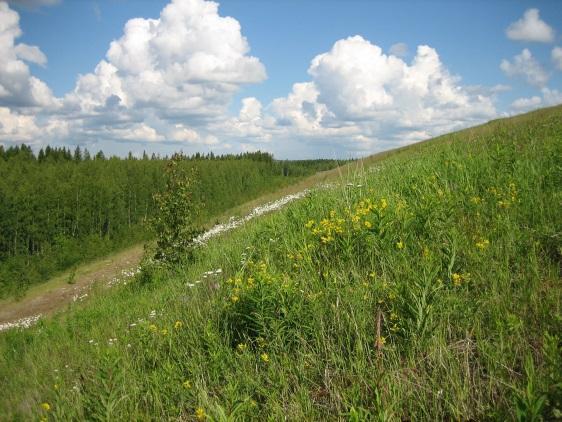 Kaivoksen sulkemisen jälkeiset vaikutukset luontoympäristöön Kaivoksen sulkemisen jälkeen alueet pitää kunnostaa turvallisiksi jatkokäyttöä