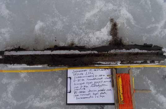 Lähikuva Puruveden Savonlahden havaintopaikan 13 sedimenttinäytteestä 65 165 cm kevättalvella  Kuva 80.