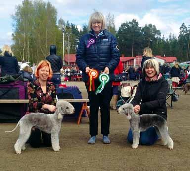 Birgitte Hasselgren, Rauma KR 2015 good. There are different styles in most countries.