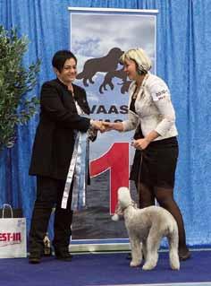 pressed for time or inexperienced in the breed. Grooming should NEVER surpass conformation in determining the winner.