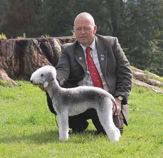 ing, judging, officiating or stewarding at a dog shows around the UK. I commenced judging in 2004.