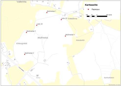 E18 Turun kehätien parantaminen välillä Kausela Kirismäki, 31 Kuva 19. Liito-oravahavainnot Mullimetsän ja Kirkonjyrkän alueelta.