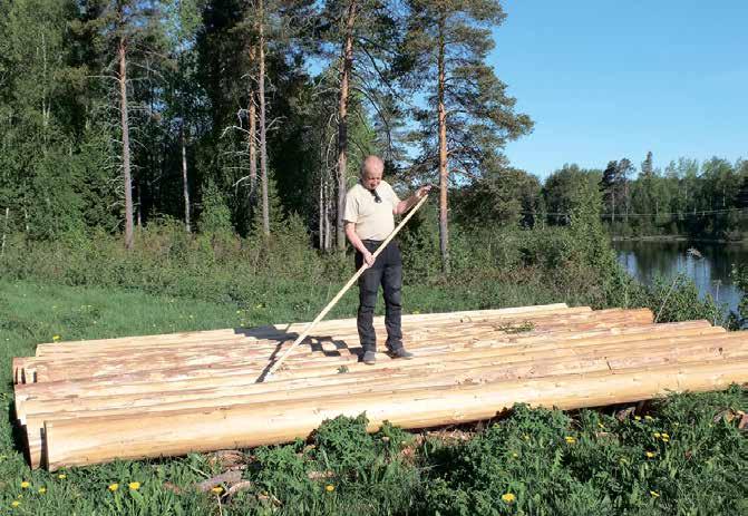 nro 12 nomat - 11 Iin Tukkilaiskisat SM-kisoina Tänä vuonna lauantaina 7.