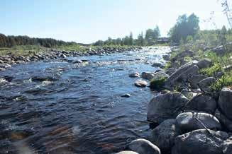 Tukkitasapainoilijoita on ollut muun muassa Iistä, Iijokivarresta, Ilomantsista, Lieksasta ja Pietarsaaresta.