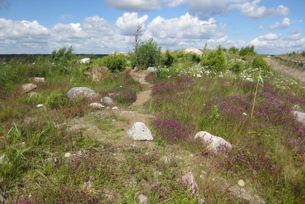 kaikilla hoitokerroilla karuimmat alueet voidaan jättää kokonaan hoitotoimien ulkopuolelle.