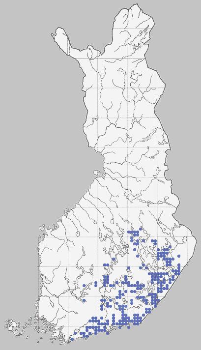 3.3 Levinneisyys Kirjoverkkoperhonen on laajalle levinnyt laji Palearktisella alueella (Euroopassa ja Aasiassa), mutta se on voimakkaasti taantunut suuressa osassa levinneisyysaluettaan.