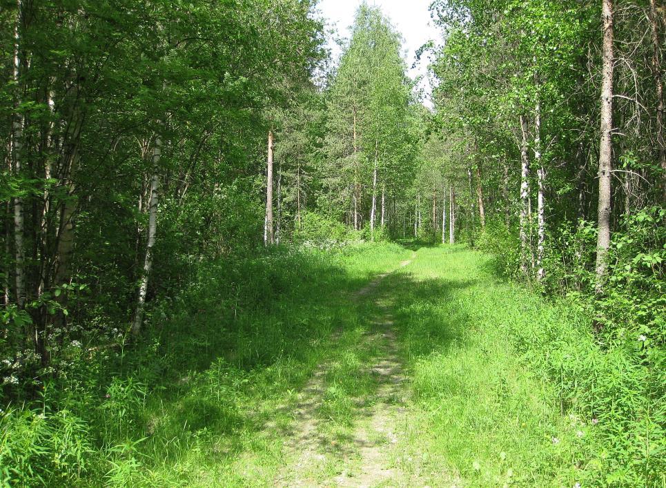 Maisema korttelialueella ja sen ympärillä on tasaista. Maanpinnan taso kaava-alueella on noin +80,9 - +82,4 mmpy.