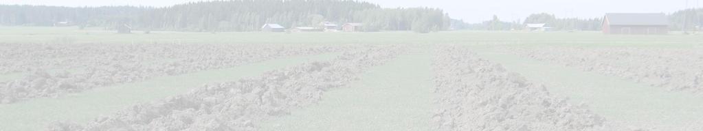 ajoitus ja valinnat niiden yhteydessä Tiedon käyttö päätöksenteossa mittaus,