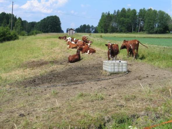rakenne ja veden imeyntä Imeyntä, cm/h Hyvä laidun Juottopaikka Kuormitus: -jännityksen suuruus,