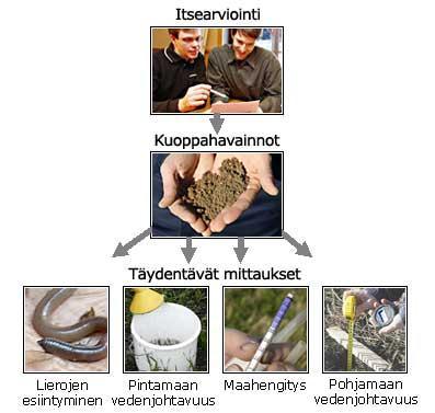 palveluja tai ohjeistusta maan laadun määrittämiseen omatoimiseen