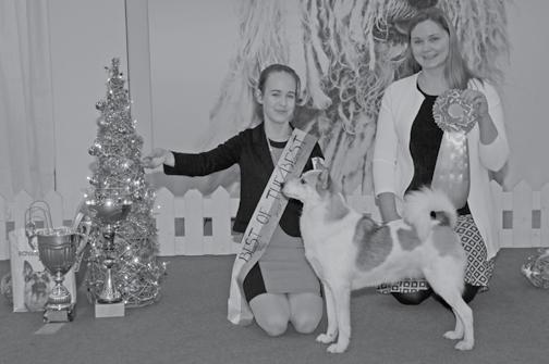 Puheenjohtaja Matti Koivu koivu.matti@gmail.com Sihteeri Noora Mäkelä noora.makela@live.com Rahastonhoitaja Leena Kerkelä leenakerkela@gmail.com AGILITYJAOSTO Tiesithän.