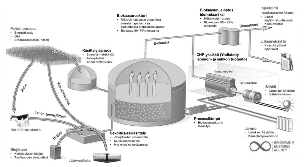 ONGELMA: Biokaasun tuotannossa syntyy mädätejäännöstä Field biomass Energy crop Straw Byproducts Digestion Usage as fertilizer Further refinement Biogas reactor Biogas is produced by the breakdown of