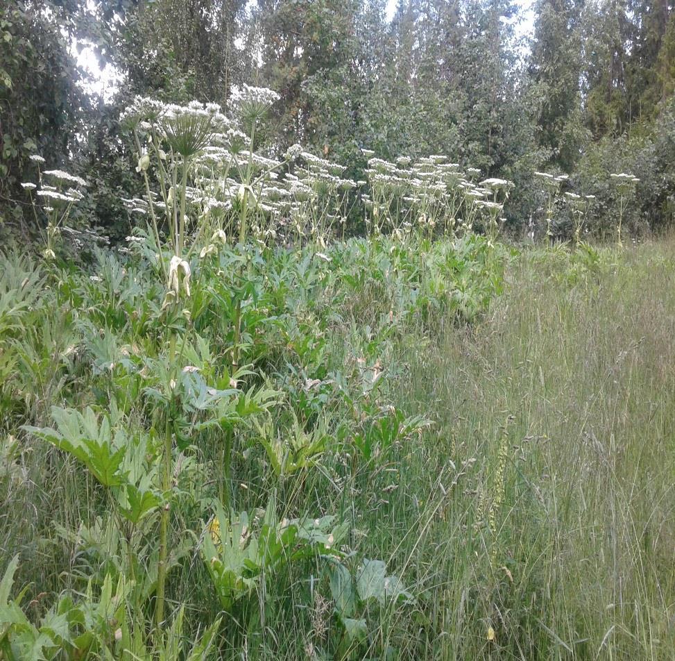 Valvonnassa havaittuja ongelmia