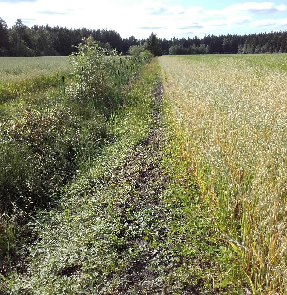 Valvonnassa havaittuja ongelmia Pirkanmaalta vuodelta 2017