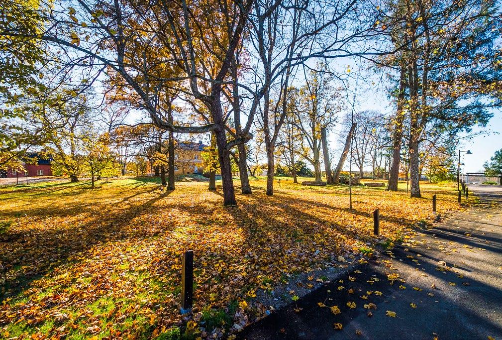 4 < 1,5 km Ruokakauppa Neuvola alstaviljelyalue alvelutalo Kirjasto, koulut äiväkoti ähkinärinteessä < 5 km Myyrmanni, Sello, Varisto HopLop Energia Areena Myyrmäki-halli Myyrmäen jäähalli Myyrmäen