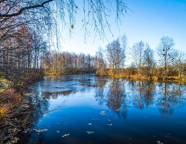 unamullan sävyisissä, persoonallisissa kodeissa valittavanasi on erilaisia, joustavia pohjaratkaisuja.