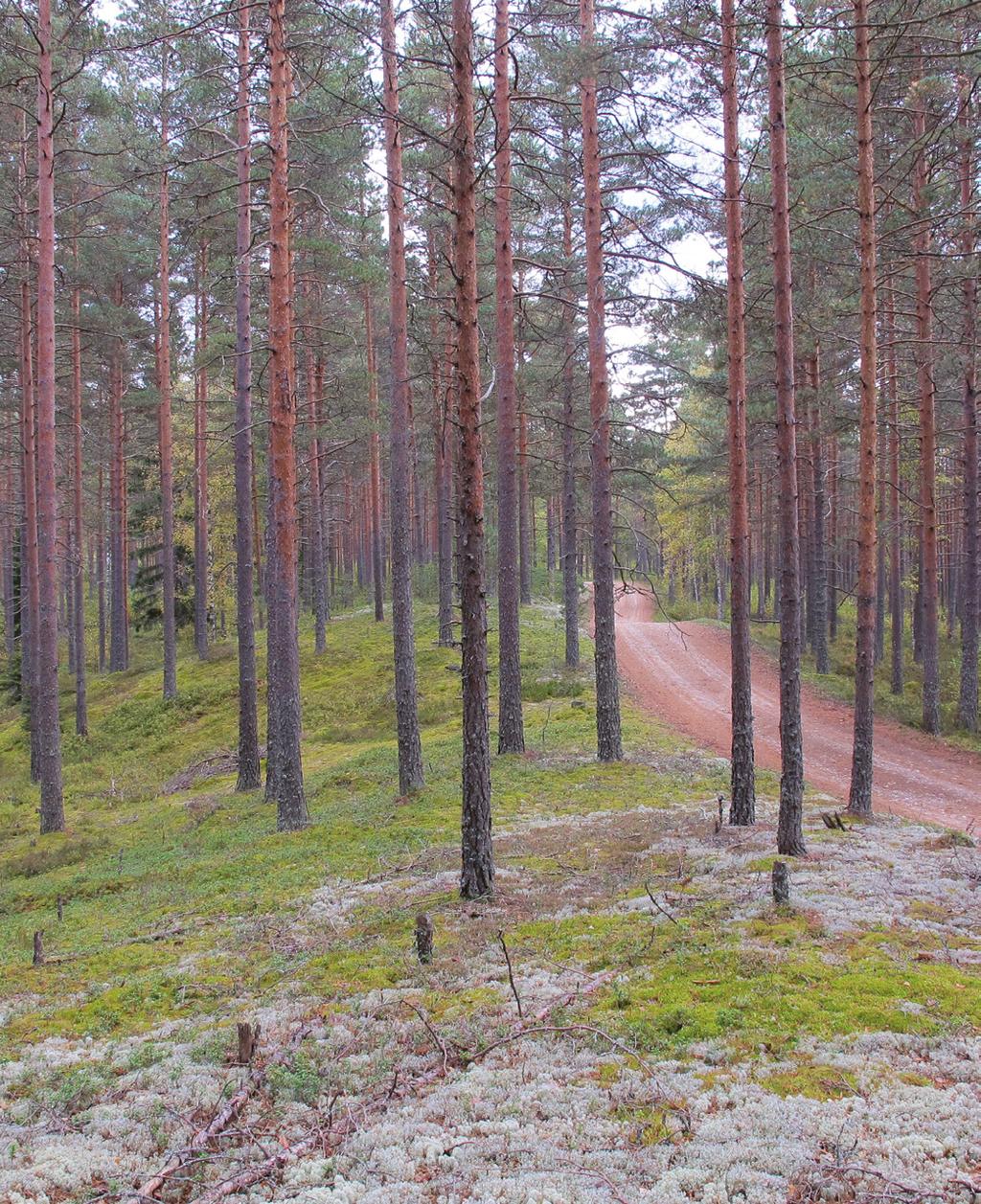 VARSINAIS-SUOMEN LIITTO EGENTLIGA FINLANDS FÖRBUND REGIONAL COUNCIL