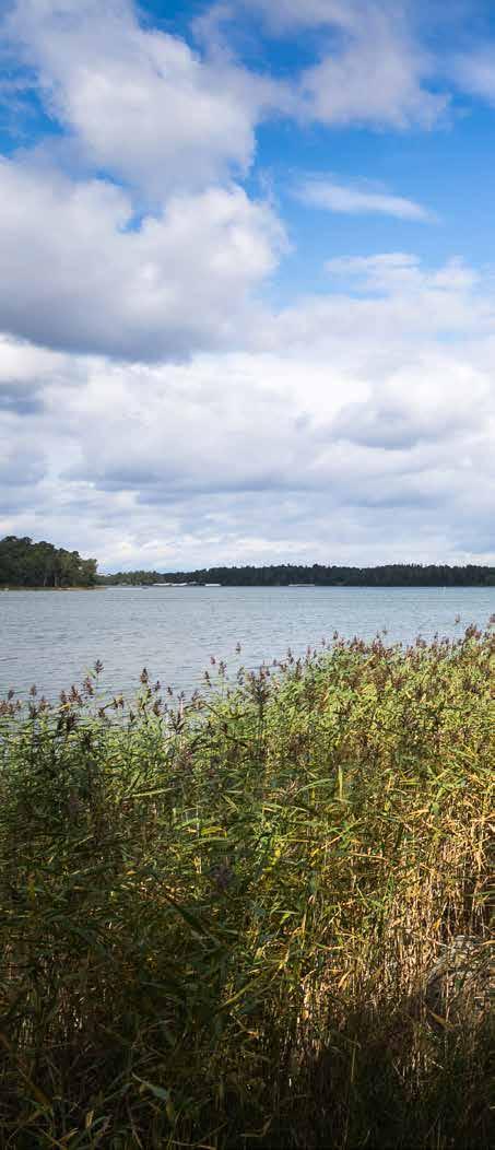 VOIMA ÖYTYY RANNATA Asunto Oy Helsingin ikkutylli Meille suomalaisille rakas näkymä on tyyni pinta, myrskyävä aallokko,