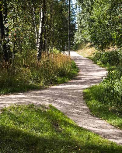Rantaviiva kuljettaa pitkin luonnon muovaamia polkuja, joiden varrella arki huuhtoutuu pois.