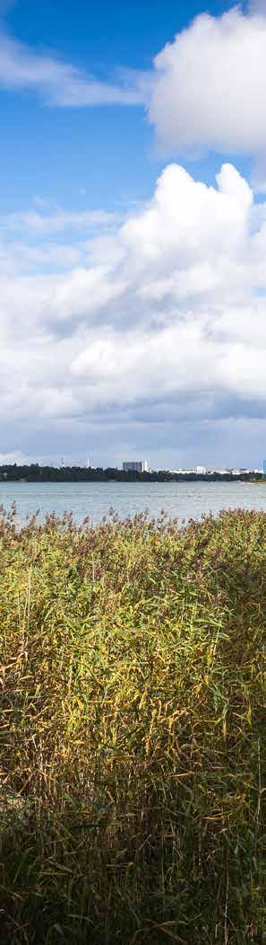 uosittu, haluttu, merellinen auttasaari Rakennamme nostalgiseen auttasaareen uusia, remonttihuolettomia koteja.